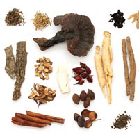 Herbal
